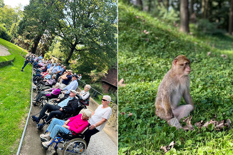 Lions mit Altenheim St.Josef on Tour2